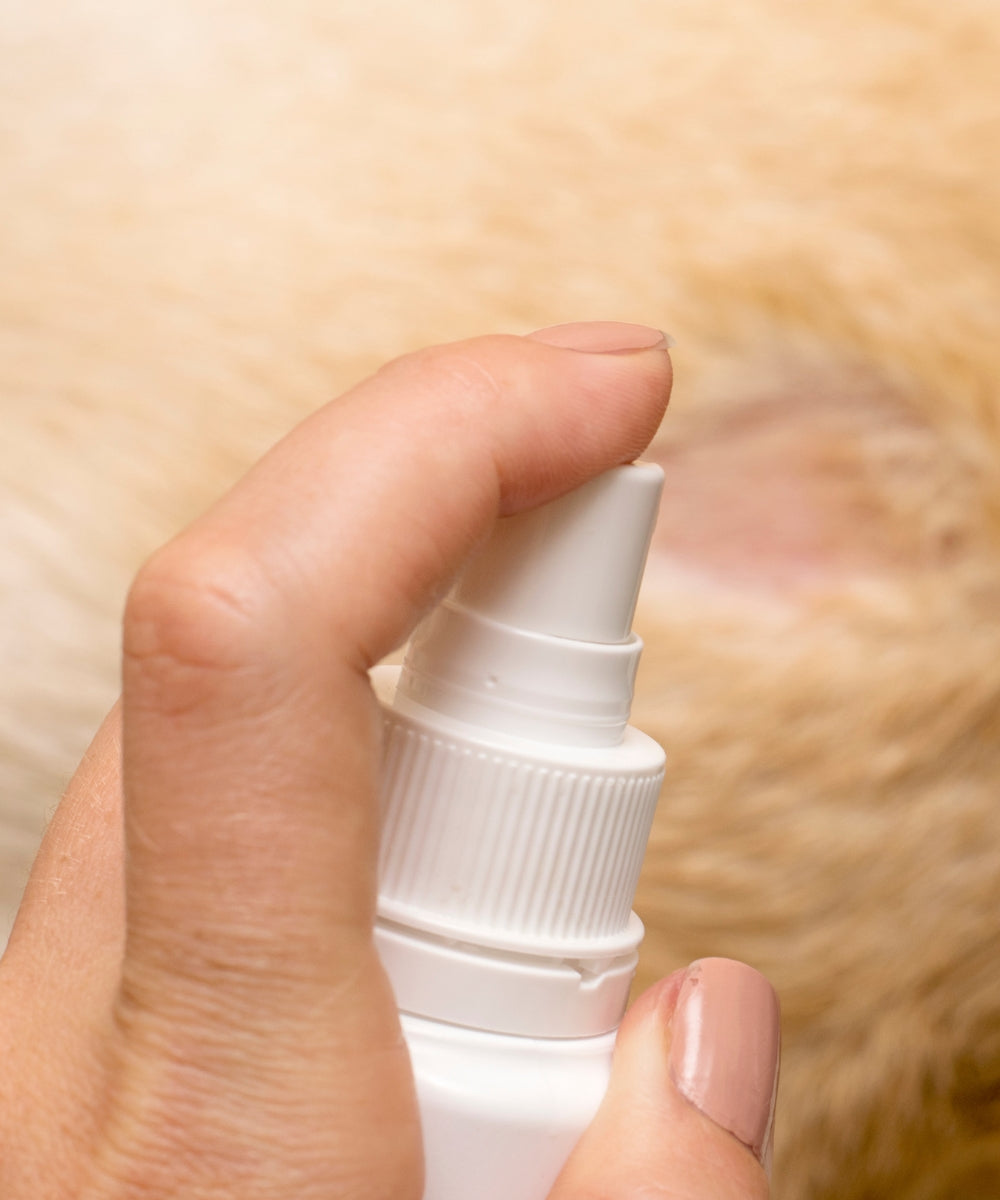 Disinfezione Animale