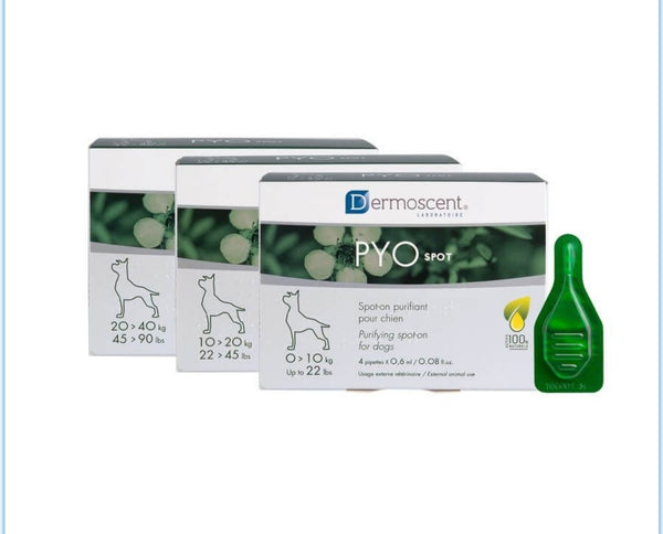 PYO spot cane da 10 a 20kg