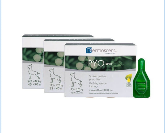 PYO spot cane da 20 a 40 kg