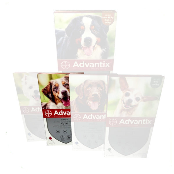 Advantix Spot On - Pipette Antiparassitarie per Cane