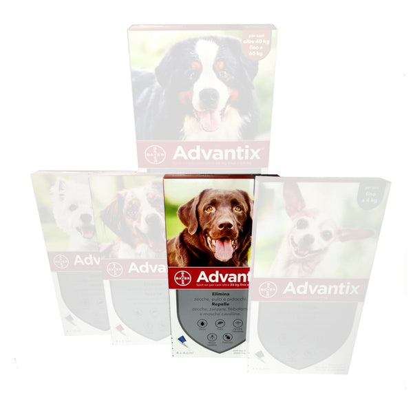 Advantix Spot On - Pipette Antiparassitarie per Cane