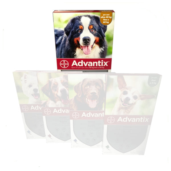 Advantix Spot On - Pipette Antiparassitarie per Cane