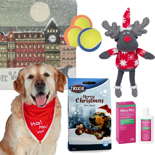 Composizione Natalizia per Cani